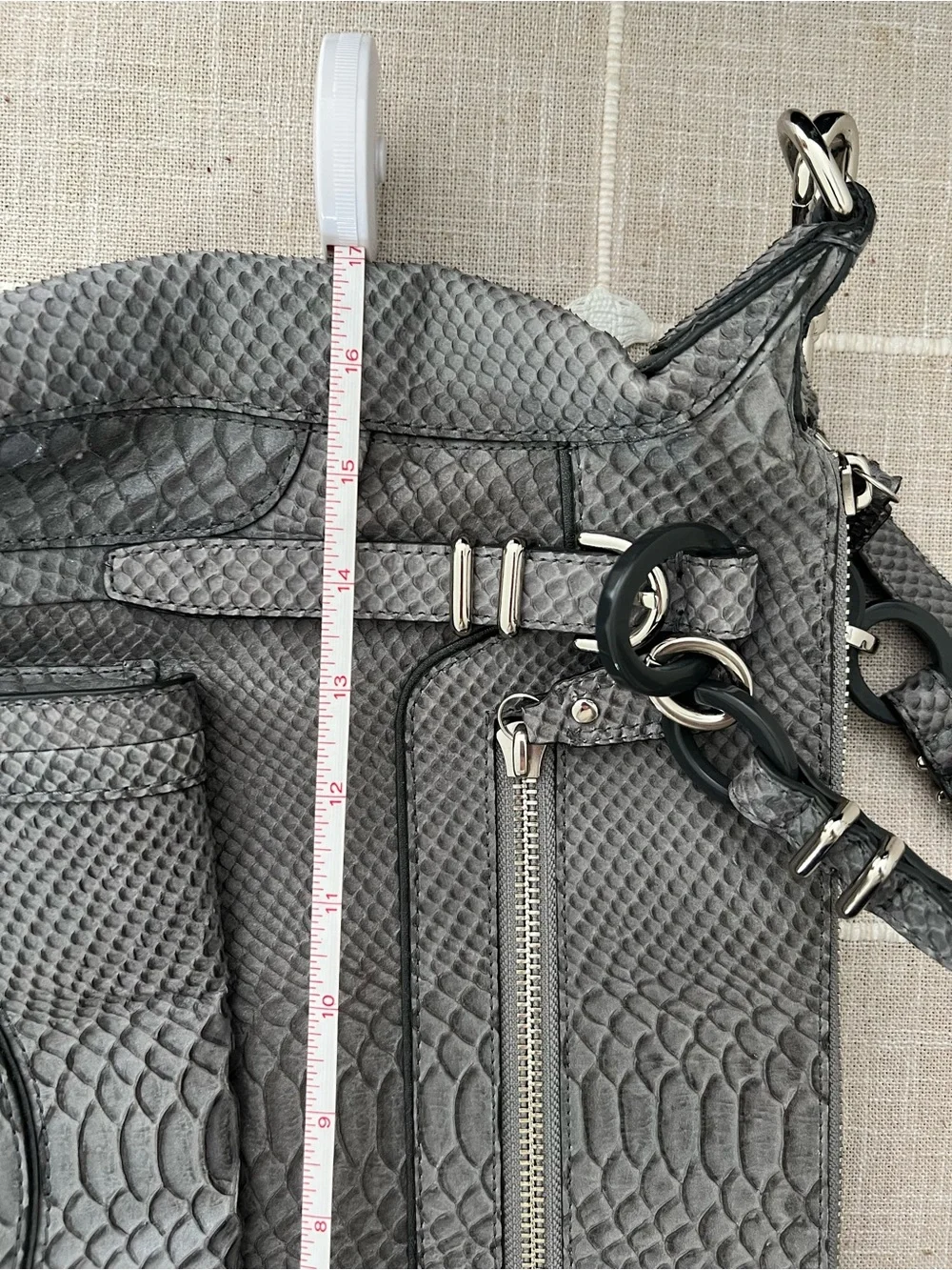 Coach Kristin Gray Python-Embossed  Bag with Silver Hardware F12938